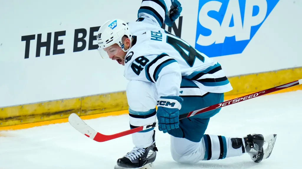 Tomáš Hertl slaví gól