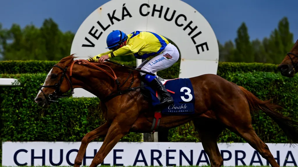 Tomáš Lukášek a Ultimate Fight