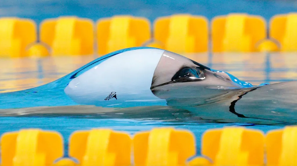 Plavání na Letních olympijských hrách v Londýně 2012