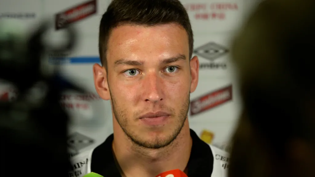 Brankář Slavie Jiří Pavlenka