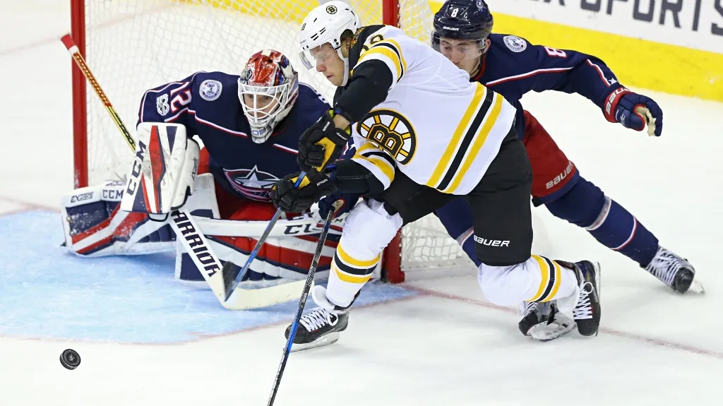 David Pastrňák v zápase proti Columbusu