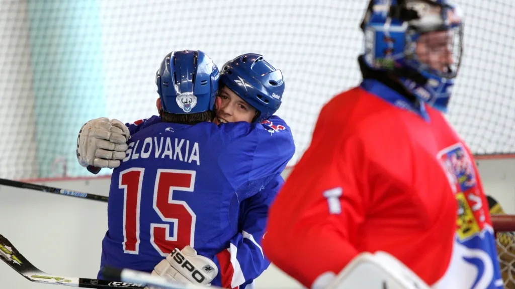 Hokejbal Česko - Slovensko
