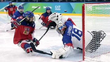 Sestřih utkání Česko – Slovensko