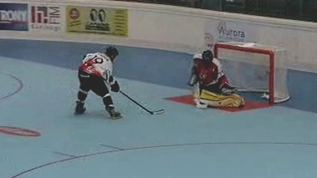 Utkání Česko - Švýcarsko