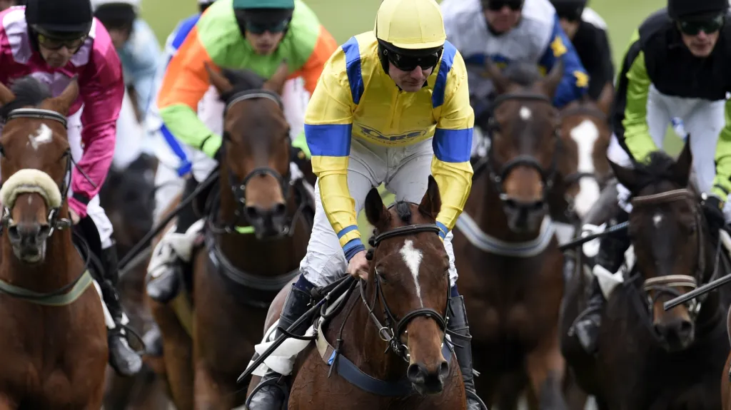 Universe of Gracie s Janem Faltejskem