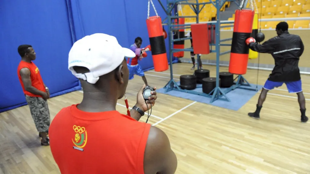 Kamerunští boxeři