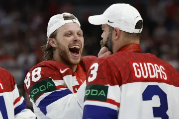 David Pastrňák a Radko Gudas