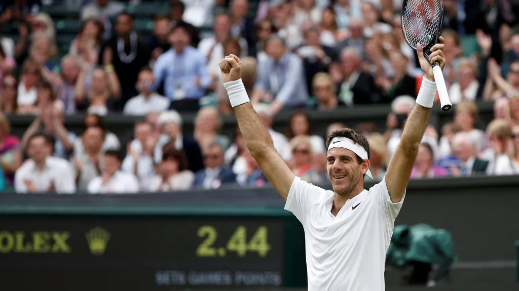 Juan Martín del Potro