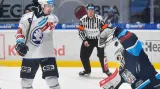HC Škoda Plzeň - Bílí Tygři Liberec