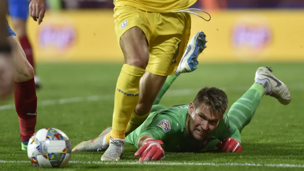 Reprezentační brankář Tomáš Vaclík