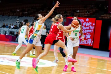 Utkání Česko – Brazílie