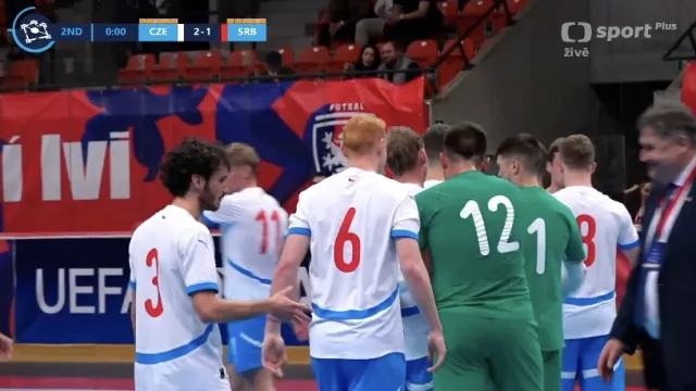 Závěr a ohlasy utkání Česko – Srbsko