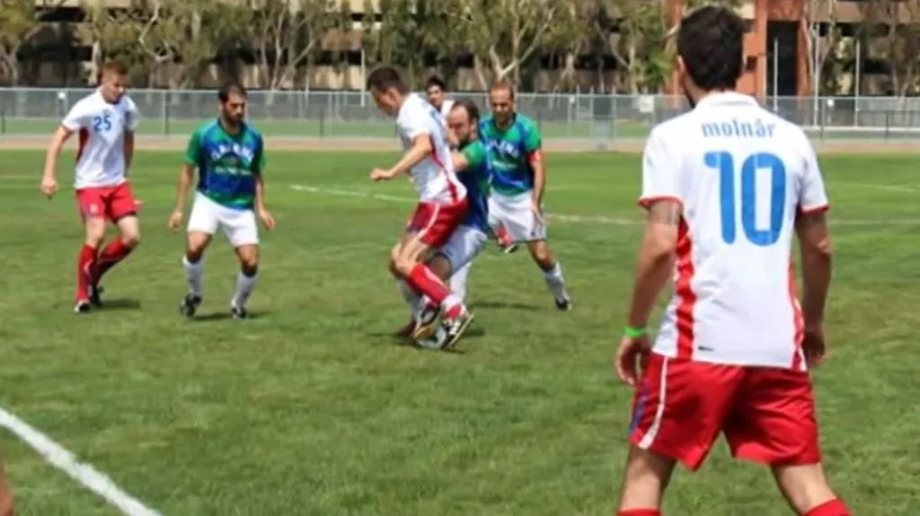 Česká fotbalová reprezentace lékařů