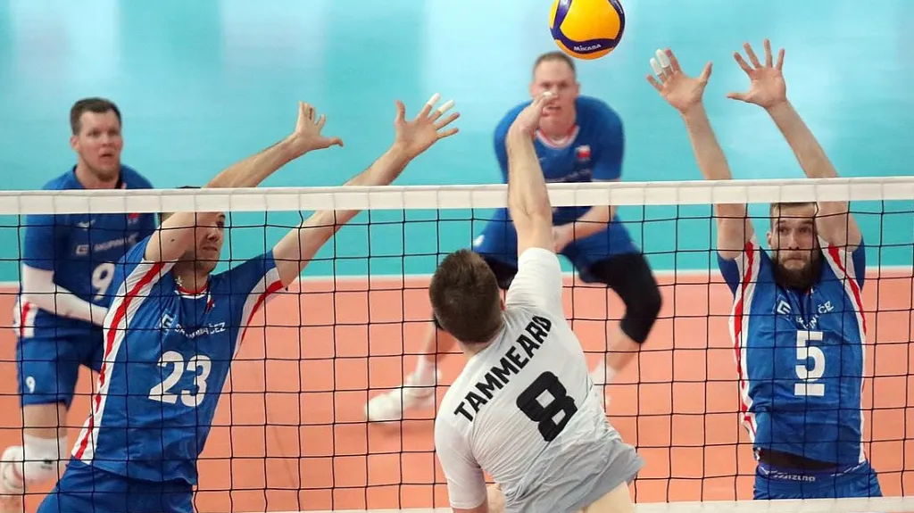 Reprezentace volejbalistů