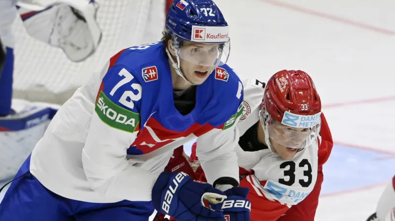 Utkání Slovensko - Dánsko