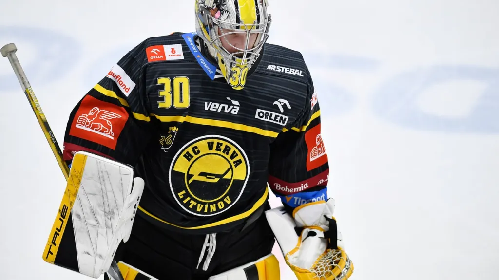 Litvínovský brankář Denis Godla