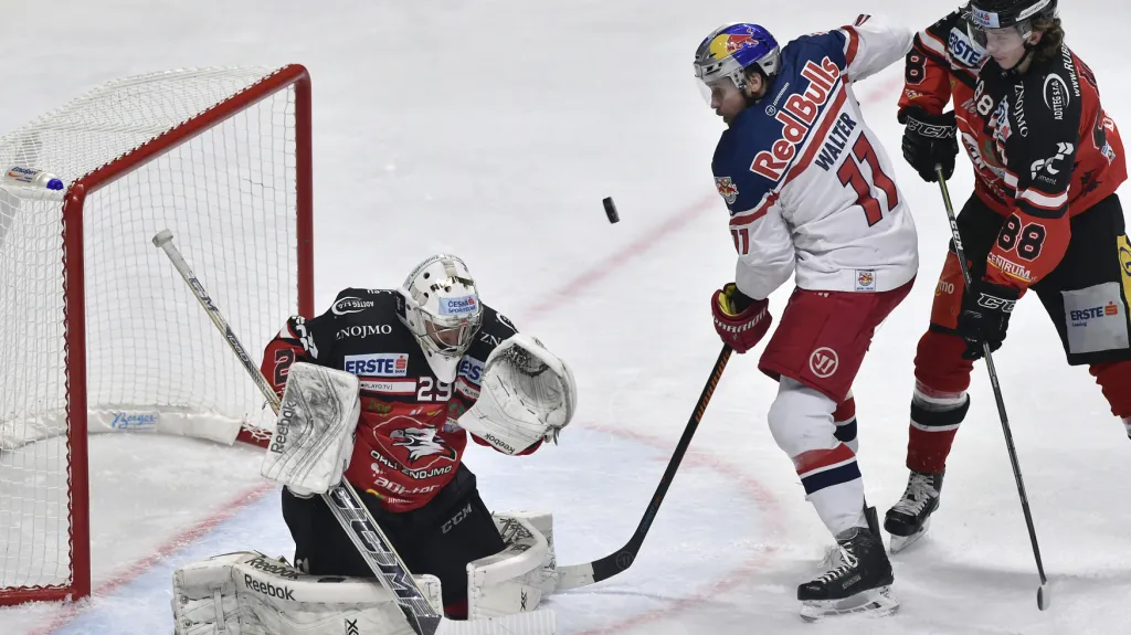 Utkání Salcburk - Znojmo