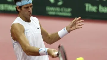 Juan Martin del Potro