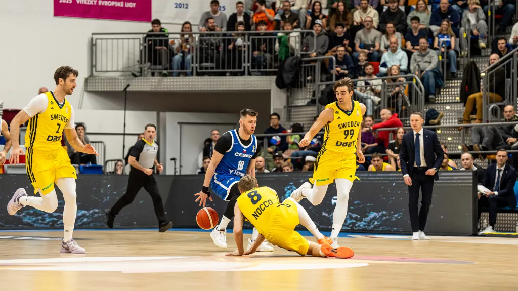 Ondřej Sehnal v utkání proti Švédsku