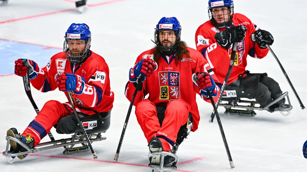 Čeští parahokejisté