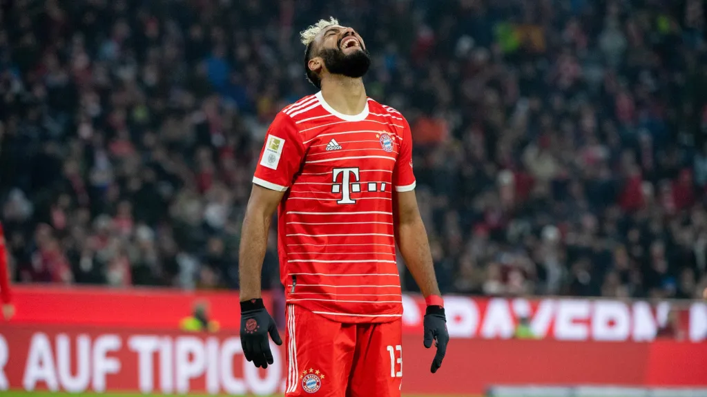 Eric Maxim Choupo-Moting 