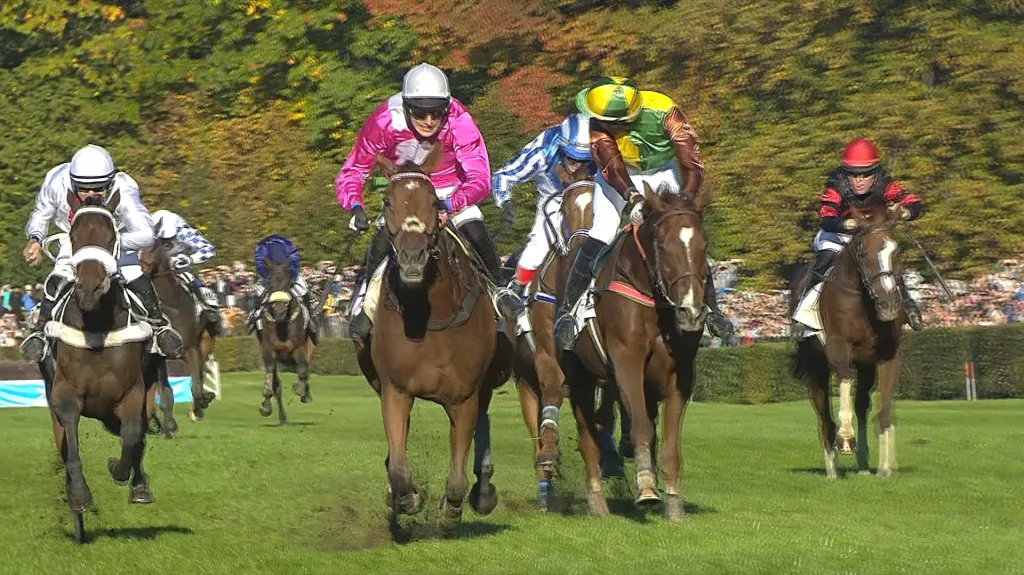 Sacamiro, Mr Spex, Talent a Argano ve finiši loňské Velké pardubické