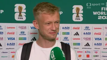 Zelený a Koubek před utkáním s Koreou