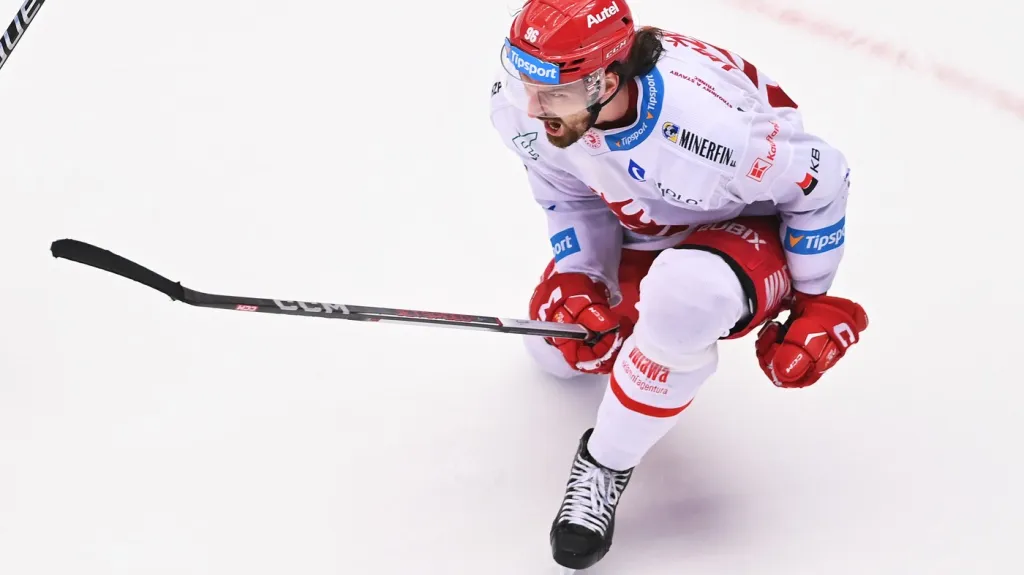 Radost Daniela Voženílka