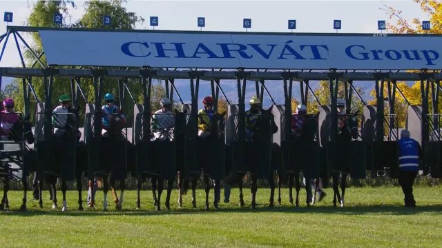 Záznam Ceny zimního favorita