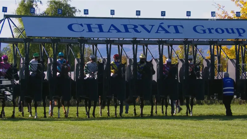 Záznam Ceny zimního favorita