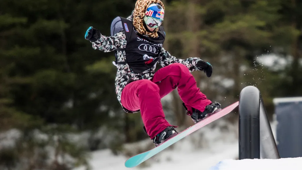 Šárka Pančochová