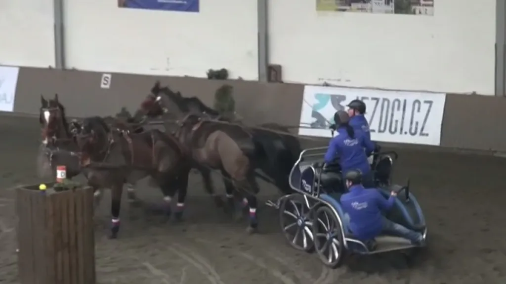 Zimní Jezdecký pohár v Hradištku vyhrál Nesvačil