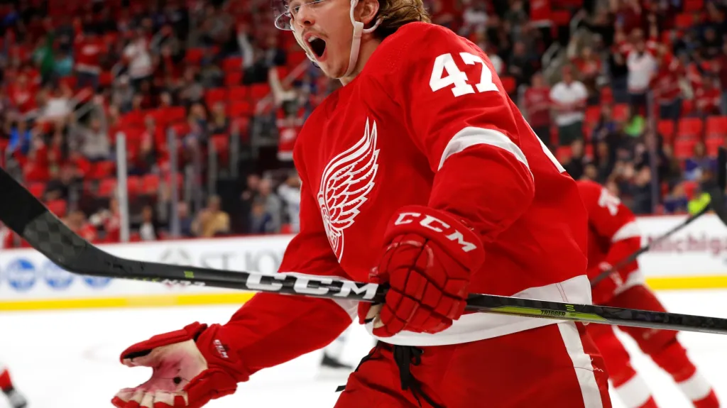 Libor Šulák v dresu Detroitu