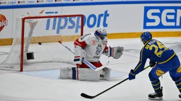 Sestřih a ohlasy utkání Česko – Švédsko