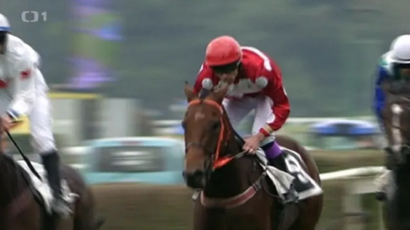 Velkou cenu Pradubic vyhrál Mister Westminster