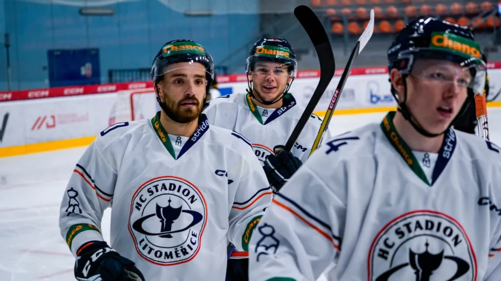 Hokejisté Litoměřic