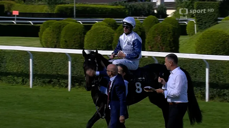 Ohlasy vítězné stáje Českého derby