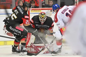 Utkání českých hokejistů s Německem