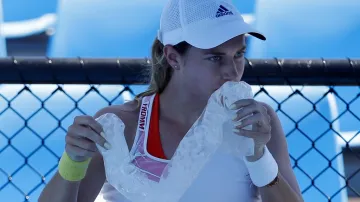 Stephanie Voegelová