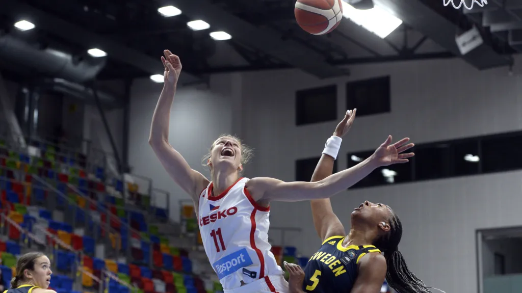 Utkání Česko - Švédsko