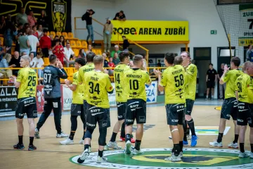 Házenkáři Zubří