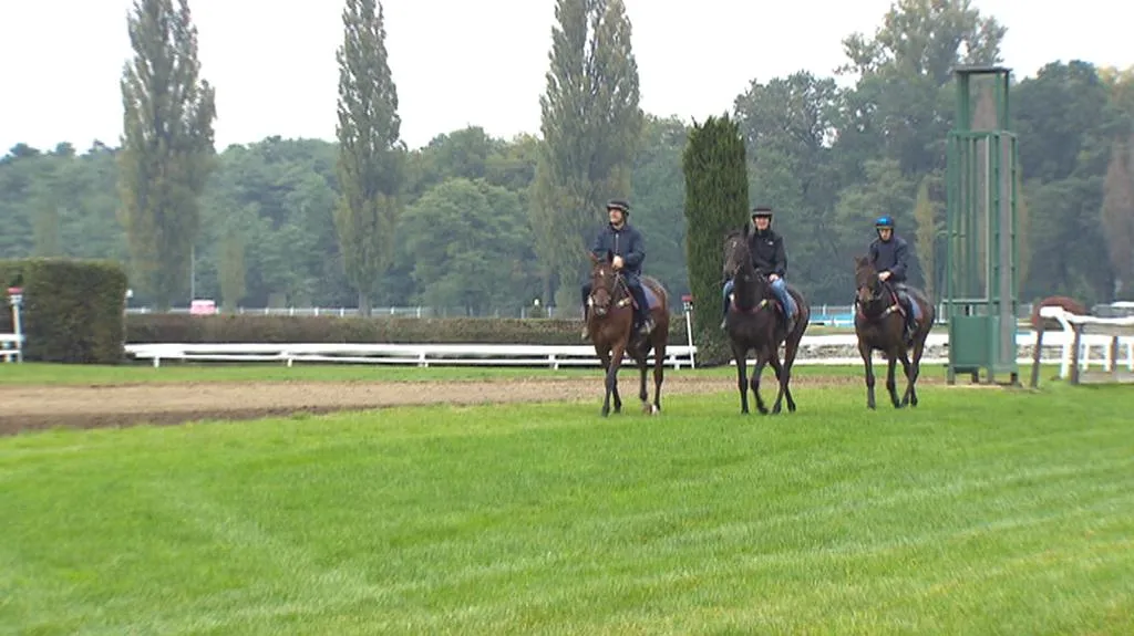 V Pardubicích trénovali na Velkou tři zahraniční účastníci z Irska