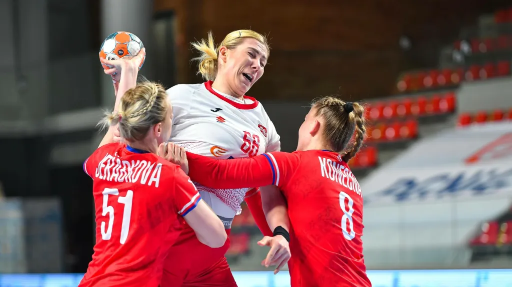 Utkání Polsko - Česko