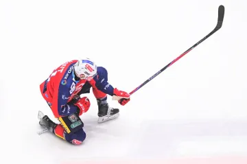 Martin Kaut se raduje z gólu v utkání HC Dynamo Pardubice – HC Kometa Brno