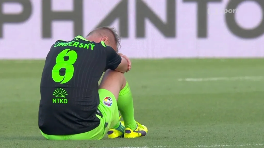 Smutný David Limberský