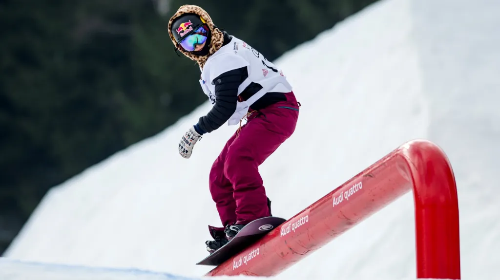 Šárka Pančochová