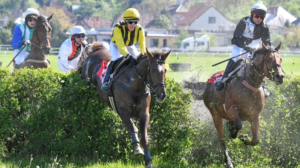 Dostihy ve Slušovicích