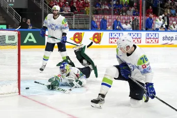 Slovinští hokejisté