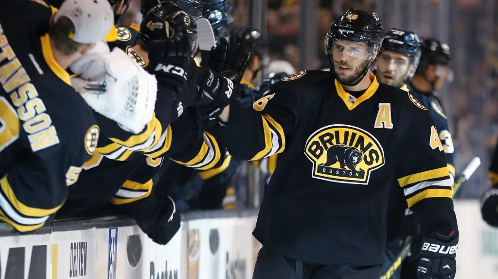 David Krejčí slaví se spoluhráči z Bostonu vstřelenou branku