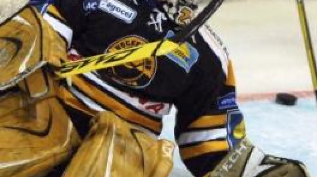 Brankář Litvínova